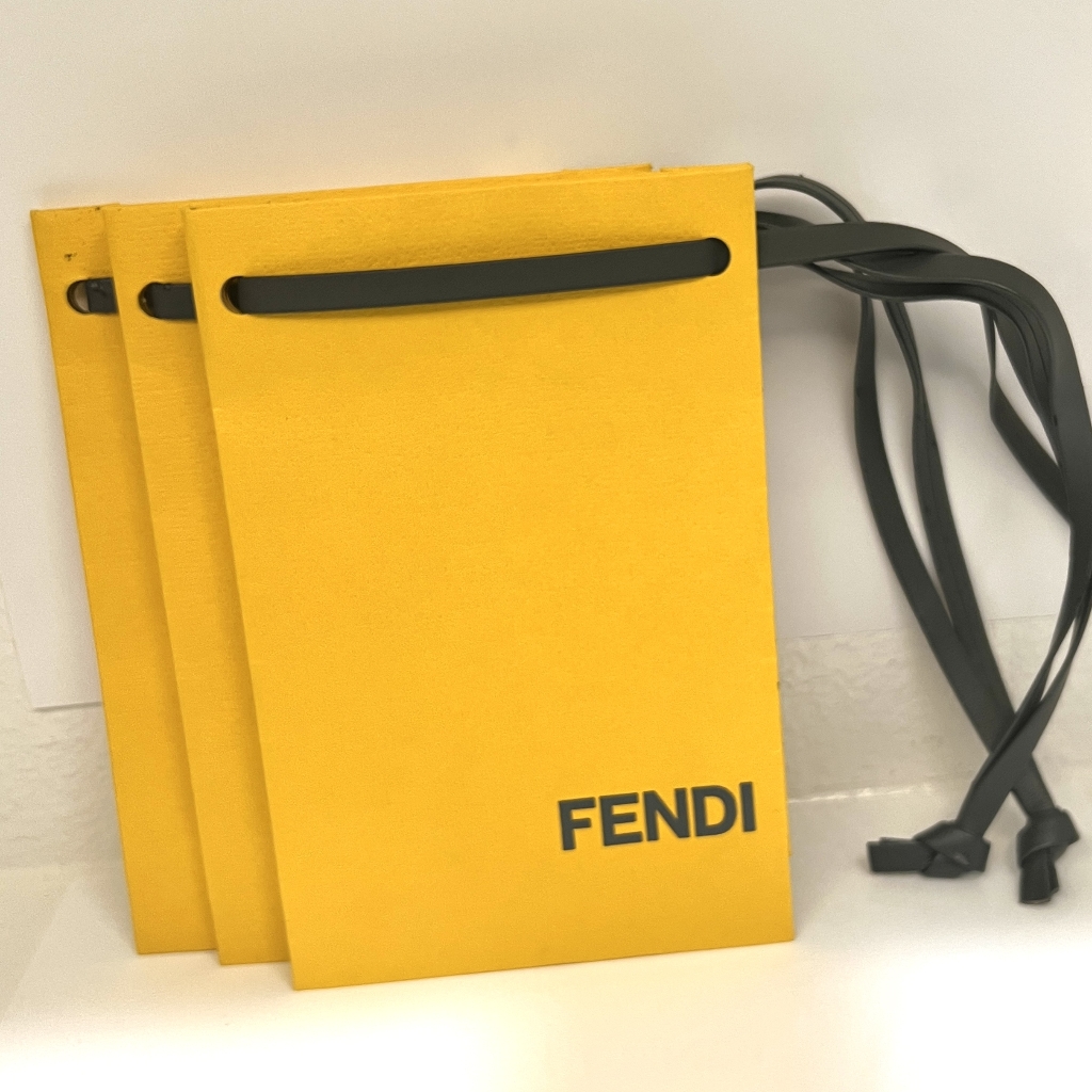 New Fendi Retail Boutique Shopping Bags